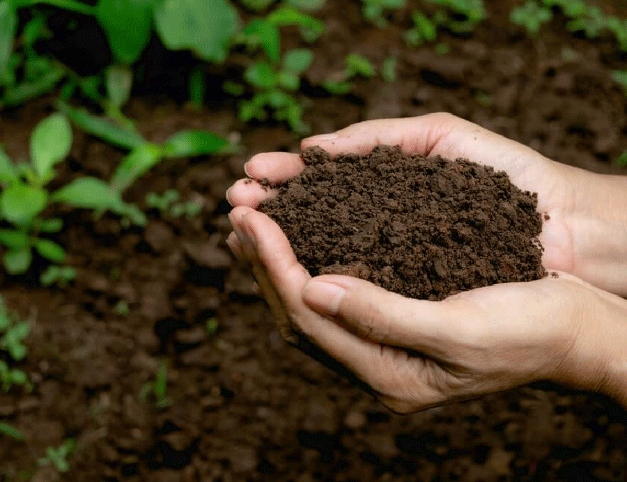 Sustainable farming practices - Hands holding rich soil